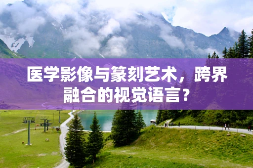 医学影像与篆刻艺术，跨界融合的视觉语言？