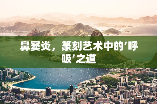 鼻窦炎，篆刻艺术中的‘呼吸’之道