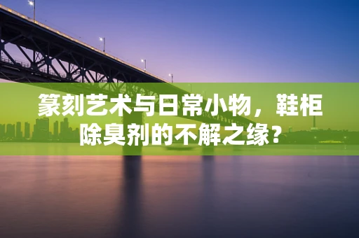 篆刻艺术与日常小物，鞋柜除臭剂的不解之缘？