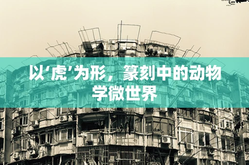 以‘虎’为形，篆刻中的动物学微世界