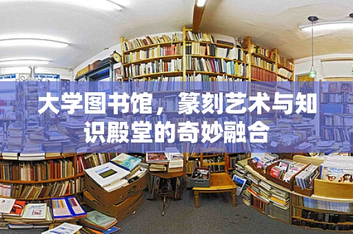 大学图书馆，篆刻艺术与知识殿堂的奇妙融合