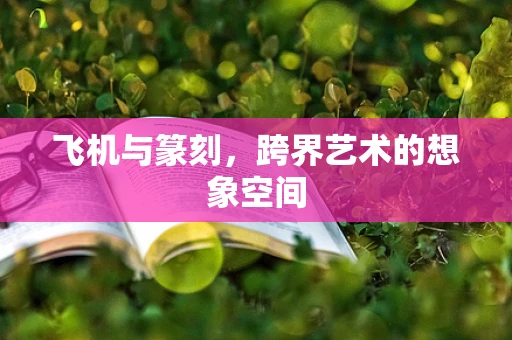 飞机与篆刻，跨界艺术的想象空间