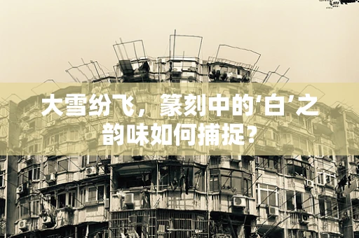 大雪纷飞，篆刻中的‘白’之韵味如何捕捉？