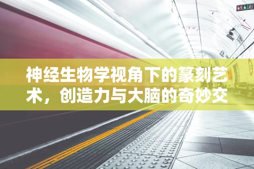 神经生物学视角下的篆刻艺术，创造力与大脑的奇妙交响