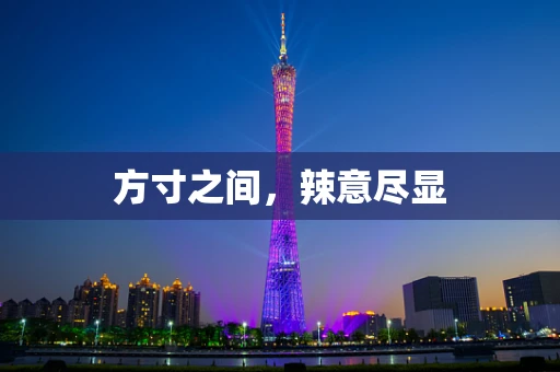 方寸之间，辣意尽显