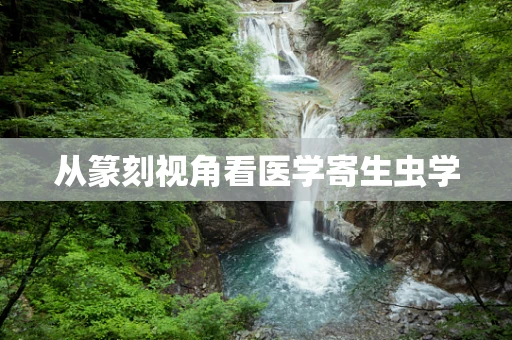 从篆刻视角看医学寄生虫学