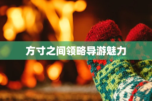 方寸之间领略导游魅力
