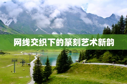 网线交织下的篆刻艺术新韵