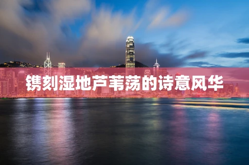 镌刻湿地芦苇荡的诗意风华