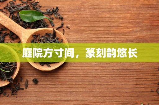 庭院方寸间，篆刻韵悠长