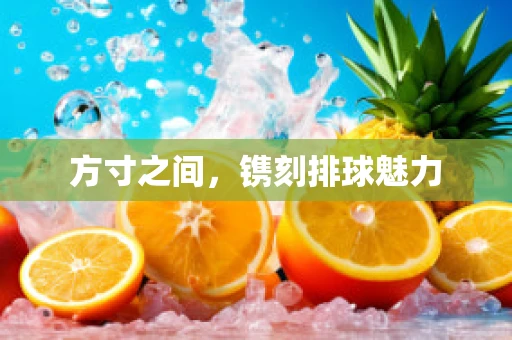 方寸之间，镌刻排球魅力