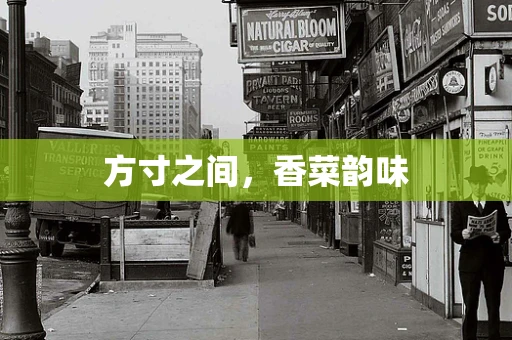方寸之间，香菜韵味