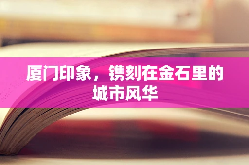 厦门印象，镌刻在金石里的城市风华