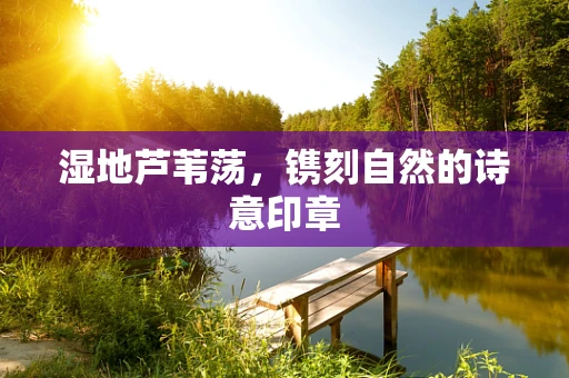 湿地芦苇荡，镌刻自然的诗意印章