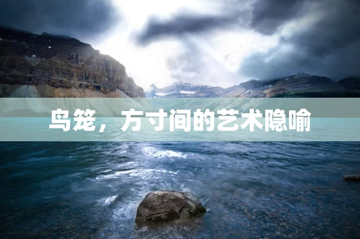 鸟笼，方寸间的艺术隐喻