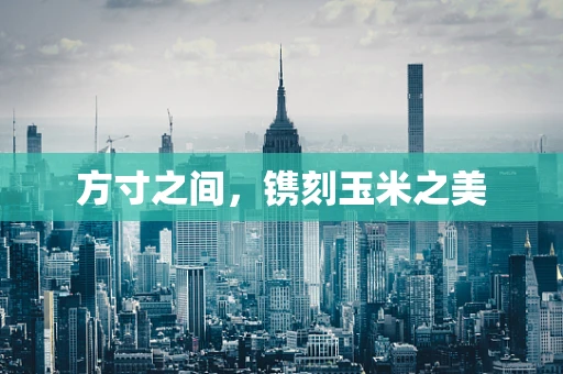 方寸之间，镌刻玉米之美