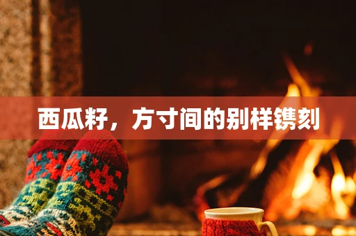 西瓜籽，方寸间的别样镌刻
