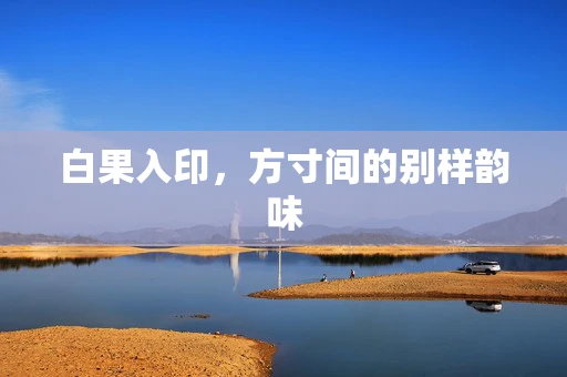 白果入印，方寸间的别样韵味