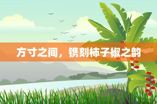 方寸之间，镌刻柿子椒之韵