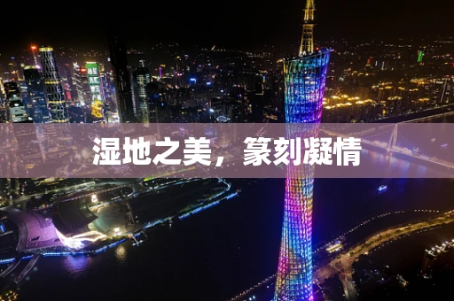 湿地之美，篆刻凝情