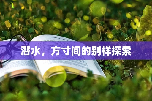 潜水，方寸间的别样探索