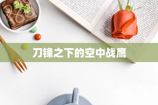 刀锋之下的空中战鹰