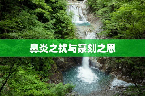 鼻炎之扰与篆刻之思
