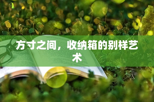 方寸之间，收纳箱的别样艺术