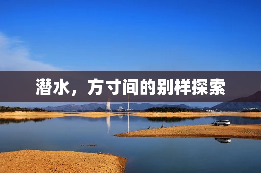 潜水，方寸间的别样探索
