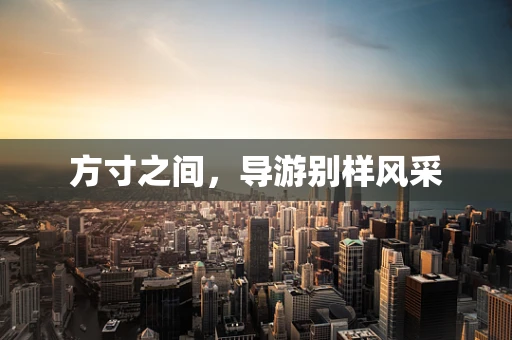方寸之间，导游别样风采