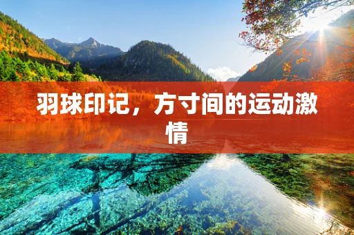 羽球印记，方寸间的运动激情