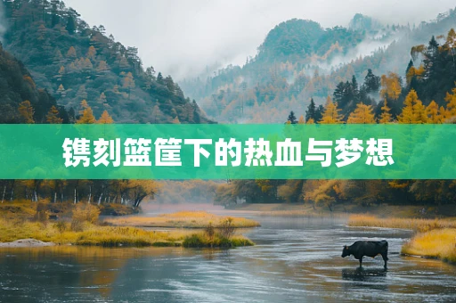 镌刻篮筐下的热血与梦想