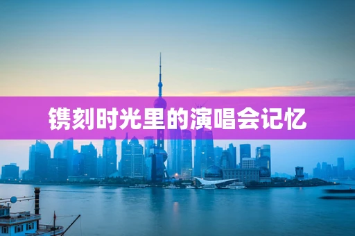 镌刻时光里的演唱会记忆