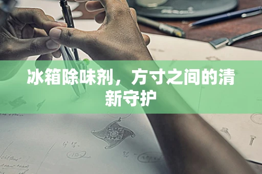 冰箱除味剂，方寸之间的清新守护