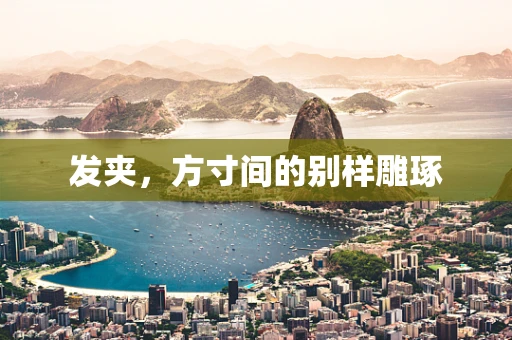 发夹，方寸间的别样雕琢
