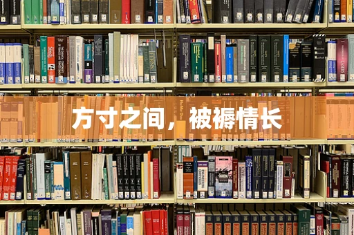 方寸之间，被褥情长