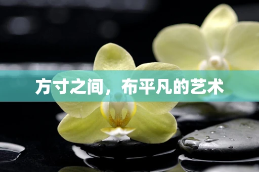 方寸之间，布平凡的艺术