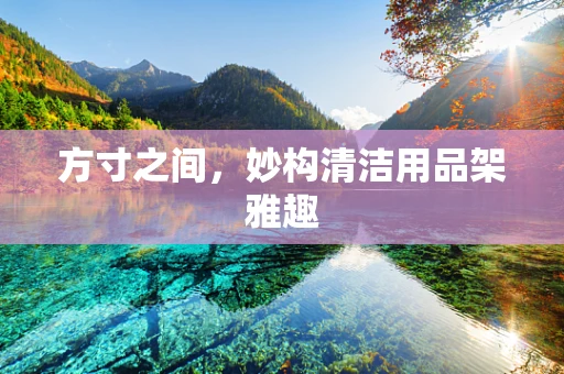 方寸之间，妙构清洁用品架雅趣