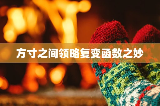 方寸之间领略复变函数之妙