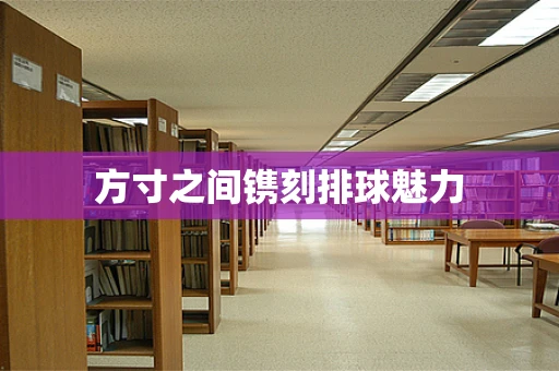 方寸之间镌刻排球魅力