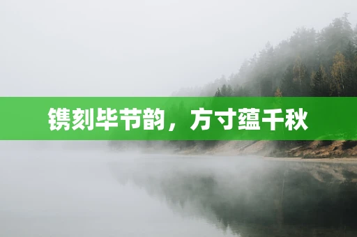 镌刻毕节韵，方寸蕴千秋
