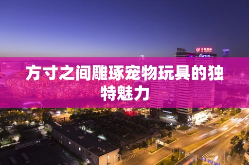 方寸之间雕琢宠物玩具的独特魅力