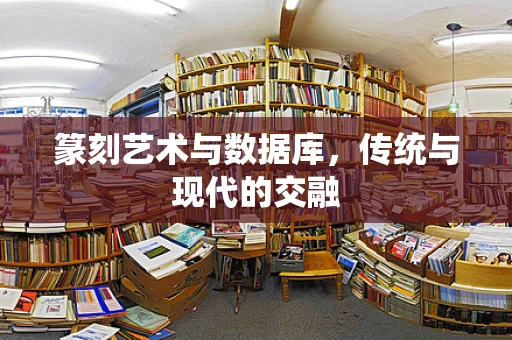 篆刻艺术与数据库，传统与现代的交融