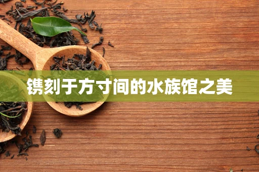 镌刻于方寸间的水族馆之美