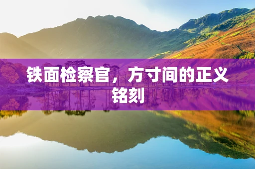 铁面检察官，方寸间的正义铭刻