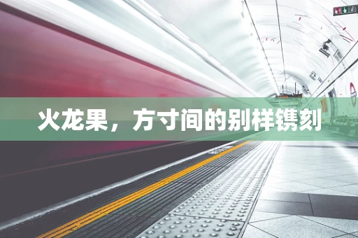 火龙果，方寸间的别样镌刻