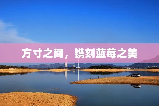 方寸之间，镌刻蓝莓之美