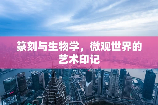 篆刻与生物学，微观世界的艺术印记