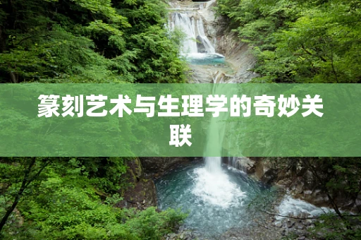 篆刻艺术与生理学的奇妙关联