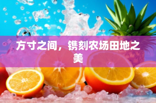 方寸之间，镌刻农场田地之美